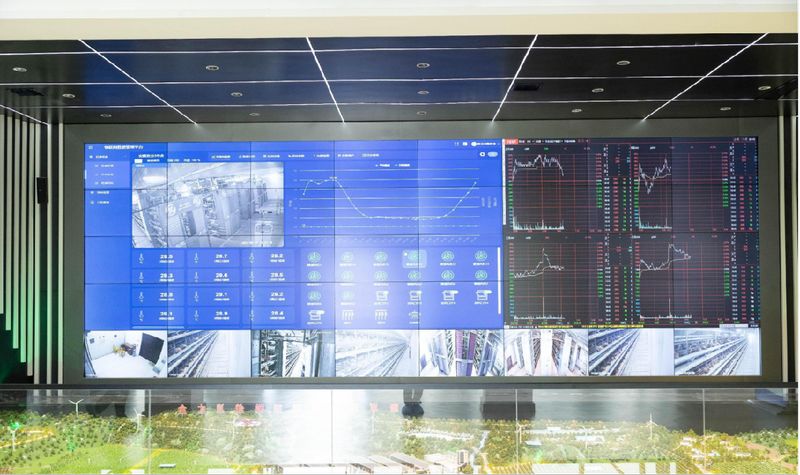 實力出圈 | 大河報報道卓一牧業(yè)鄉(xiāng)村振興實踐成效！